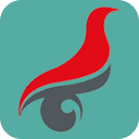 国家大学生就业服务平台